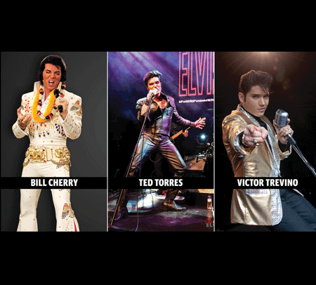 One Night with the King - Elvis Presley Tribute