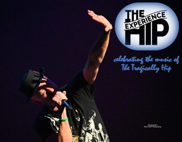 The Hip Experience